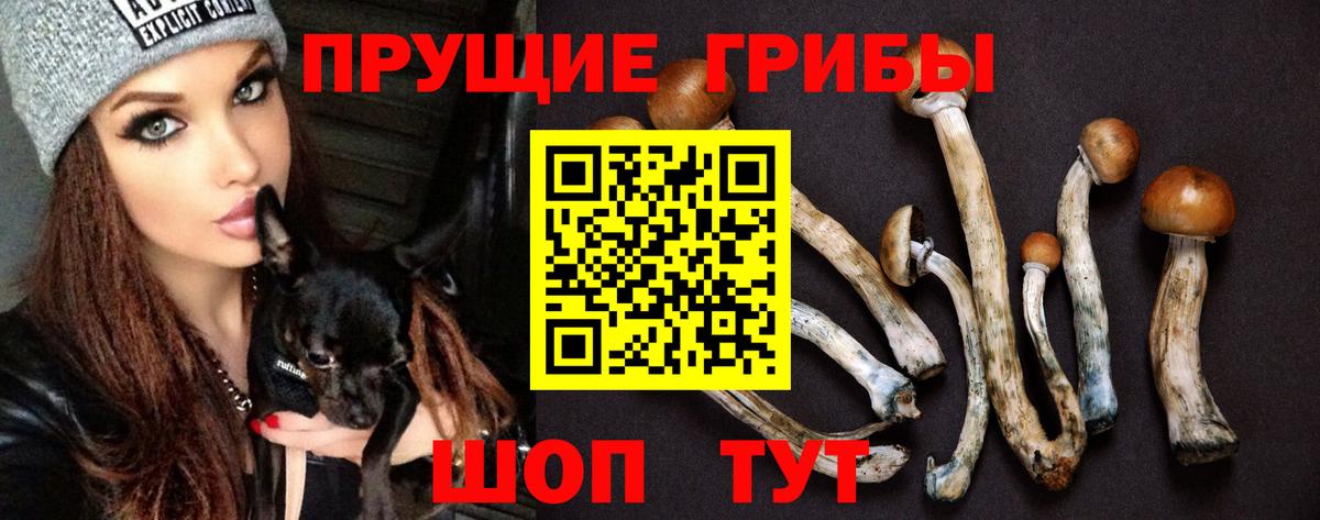 Галлюциногенные грибы прущие грибы Соль-Илецк
