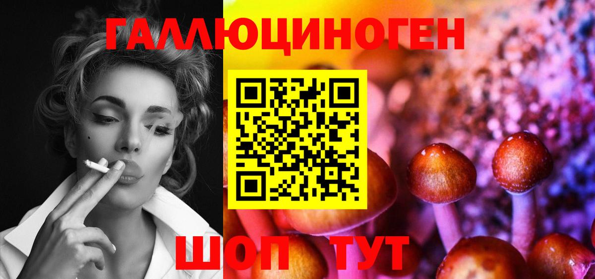 продажа наркотиков  Псилоцибиновые грибы GOLDEN TEACHER  Вход с VPN  Соль-Илецк 